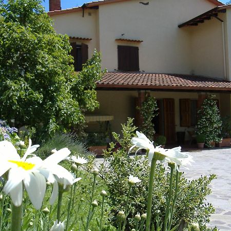 Da Ronald ... A Pian Del Papa Guest House Pratovecchio Luaran gambar