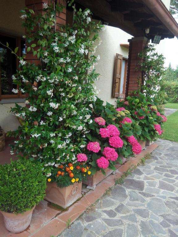 Da Ronald ... A Pian Del Papa Guest House Pratovecchio Luaran gambar
